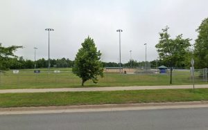 Down Home Dog Walking