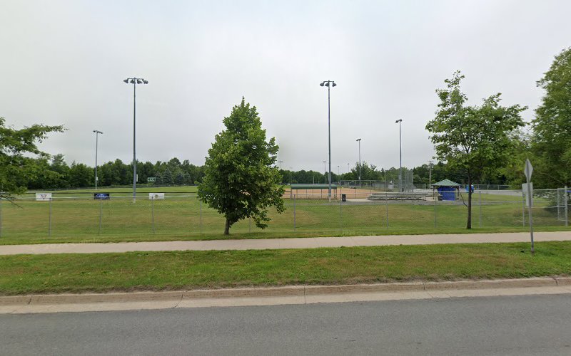 Down Home Dog Walking