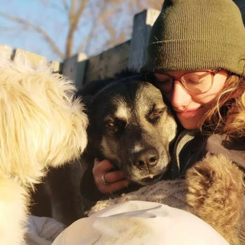 Auroraw Pet Wellness Retreat