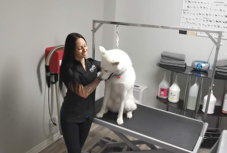 Salon Poil De Peluche Enr