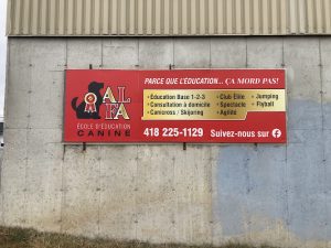 ALFA École d’éducation canine