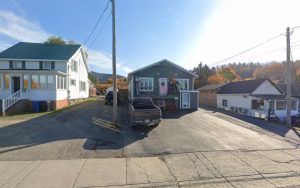 Clinique Veterinaire Lepine