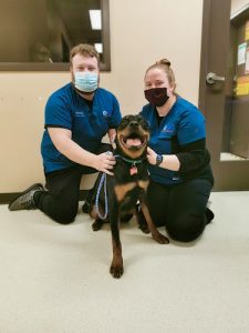 Riverview Animal Health Centre