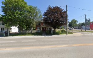 Professional Pet Grooming