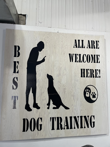Patricia jessop (jr) trainer at best dog training