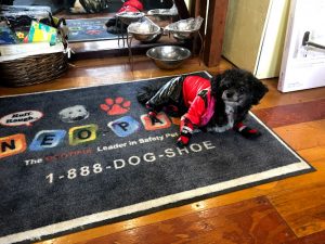 Neo-Paws Dog Shoes & Boots