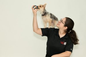 Centre Brigade Canine Inc.