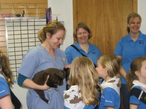 North Town Veterinary Hospital