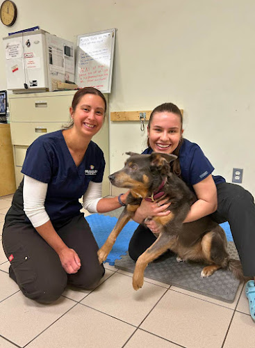 Bramalea Animal Hospital