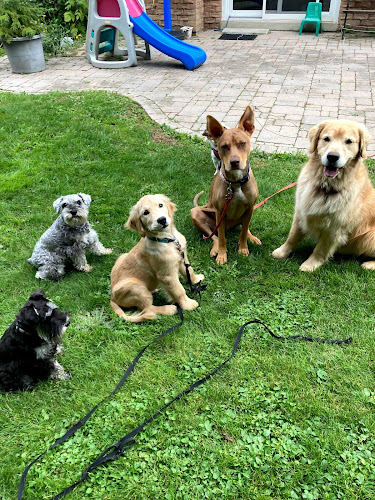 Waggin Tails Pet Services