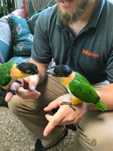 Parrot Farm