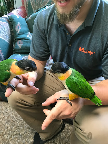 Parrot Farm