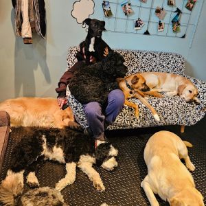 Hot Diggity Dogs – Etobicoke