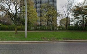 Comfy Paws Boarding: Where Your Dog Feels at Home