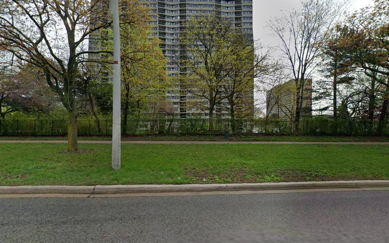 Comfy Paws Boarding: Where Your Dog Feels at Home