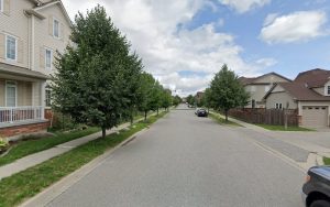 Playful Paws Dog Boarding Services