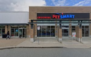 PetSmart Dog Training