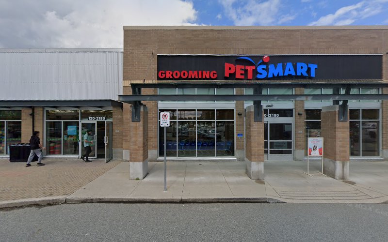 PetSmart Dog Training