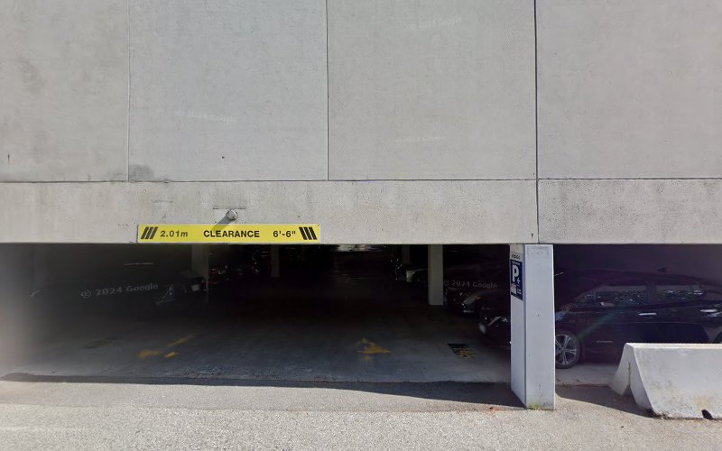 My Canine Dog Training