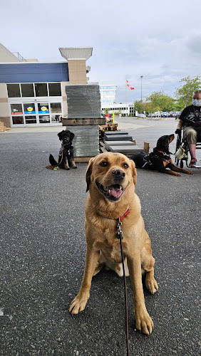 Reward That! Dog Training