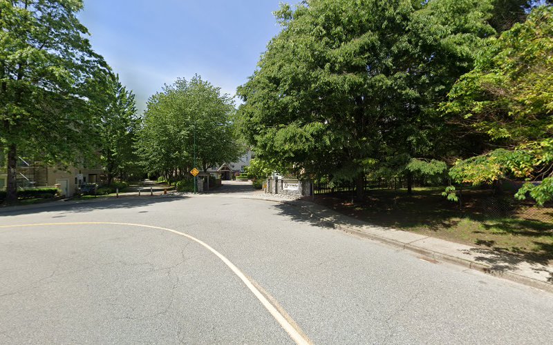 PAWsitive Canine Coaching