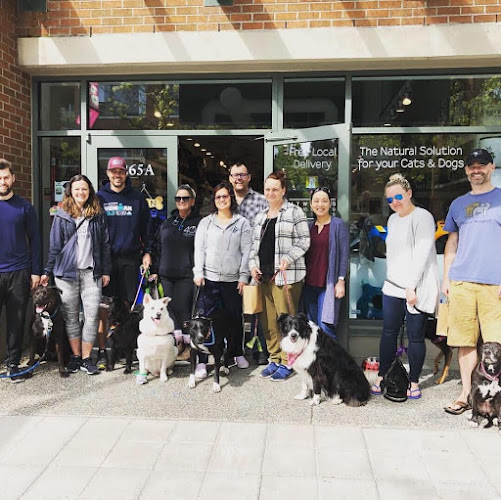 the Bone & Biscuit Co. – Port Moody Newport Village