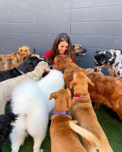 The Pooches Playhouse Inc.