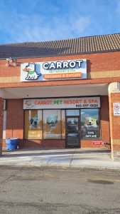 Carrot Pet Resort & Spa(New name of Lobos Pet Palace)