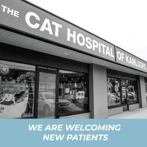 The Cat Hospital of Kamloops