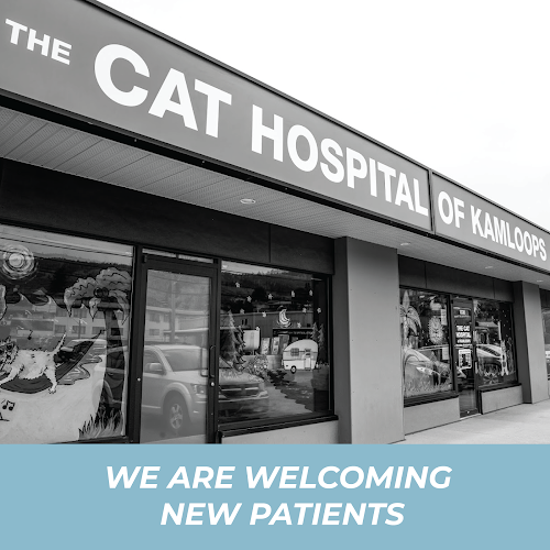 The Cat Hospital of Kamloops