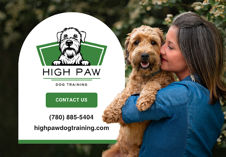 High Paw Dog Training