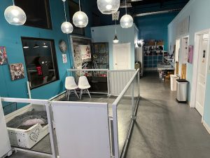 For the Love of Paws Pet Service (FLOPPS) – Edmonton