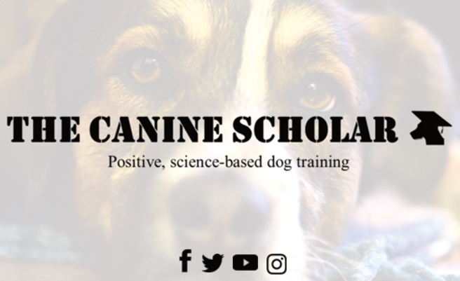The Canine Scholar