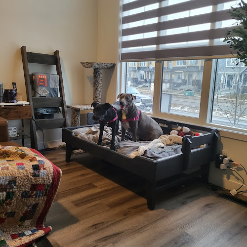 KRISTAL’S DOG WHISPER TRAINING