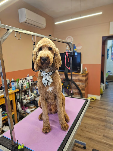 Happy Tails Rockwood