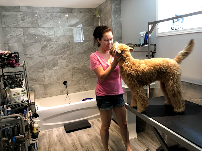 Scruff McGruff Day Spaw