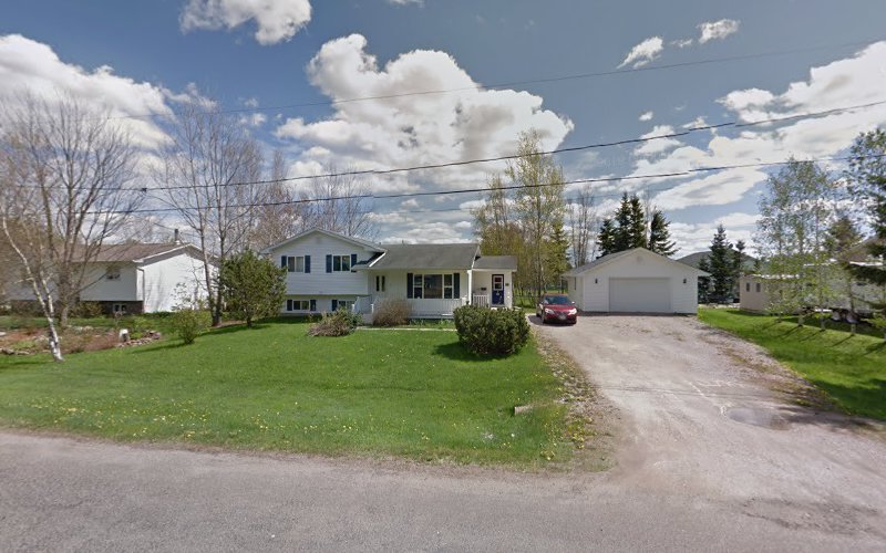 Purrfect Paws N Tails Pet Grooming