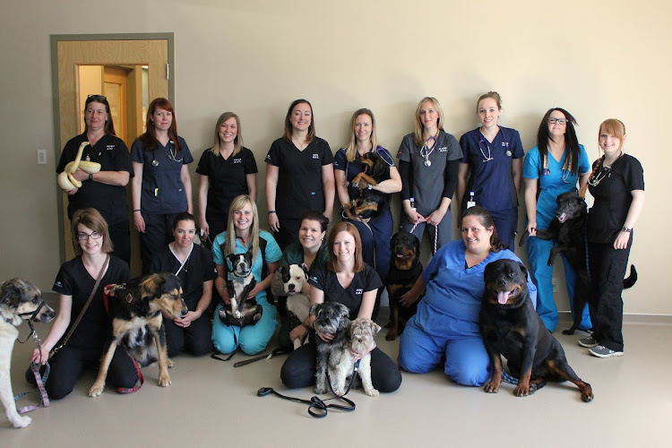 VCA Canada Guardian Veterinary Centre