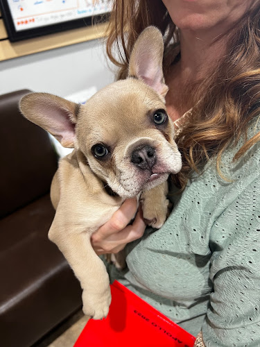 VCA Canada Calgary Trail Animal Hospital