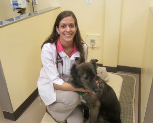 Hôpital et Clinique Vétérinaire Animal 911