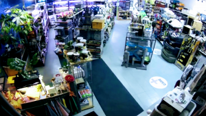 Animalerie Val-d’Or Inc