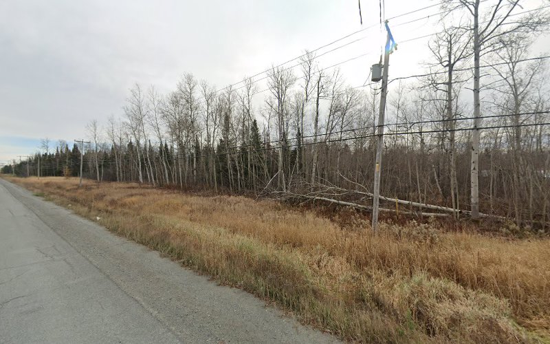 Toilettage Poil D’Or