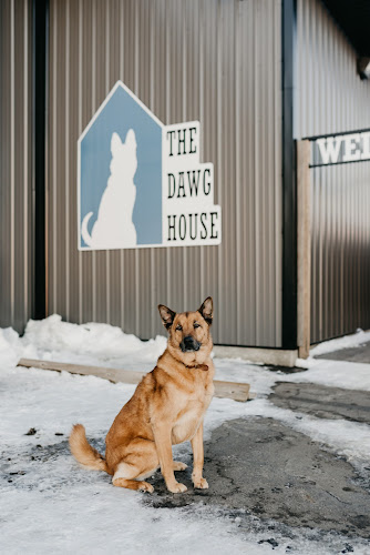 The Dawg House Kennels | Dog Daycare, Boarding, Training & Grooming