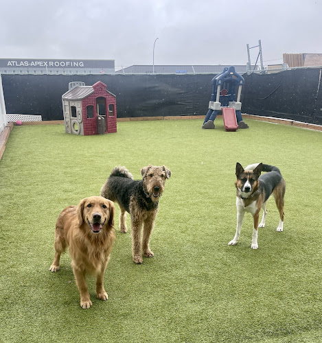 Aloha K9 Training & Pet Resort
