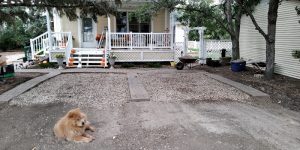 Butterwood – Dog Boarding Regina