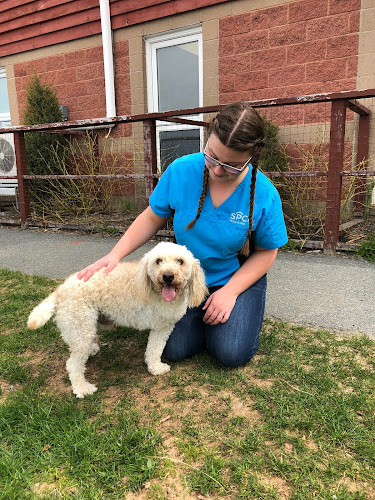 Colchester SPCA