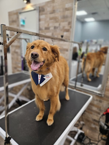 Oh My Dog Spa and Grooming