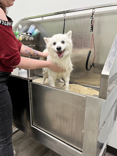 Purrs & Paws Grooming