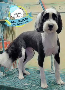 All Smiles Dog Grooming