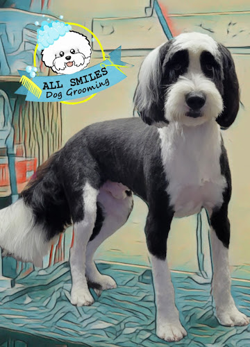 All Smiles Dog Grooming